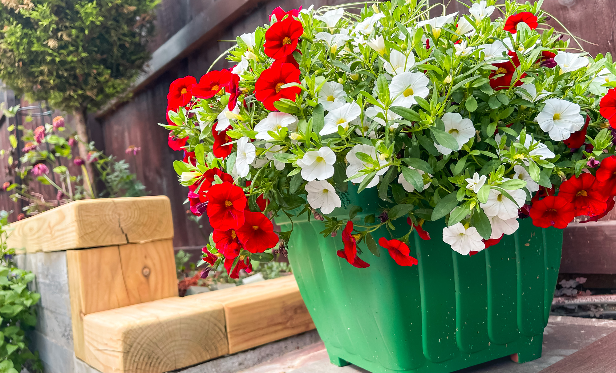 Outdoor kitchen and composite decking — Modern Haven, Great Linford